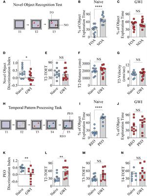 Brain-Specific Increase in Leukotriene Signaling Accompanies Chronic Neuroinflammation and Cognitive Impairment in a Model of Gulf War Illness